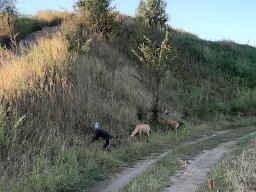 img_4631