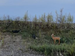 img_4632